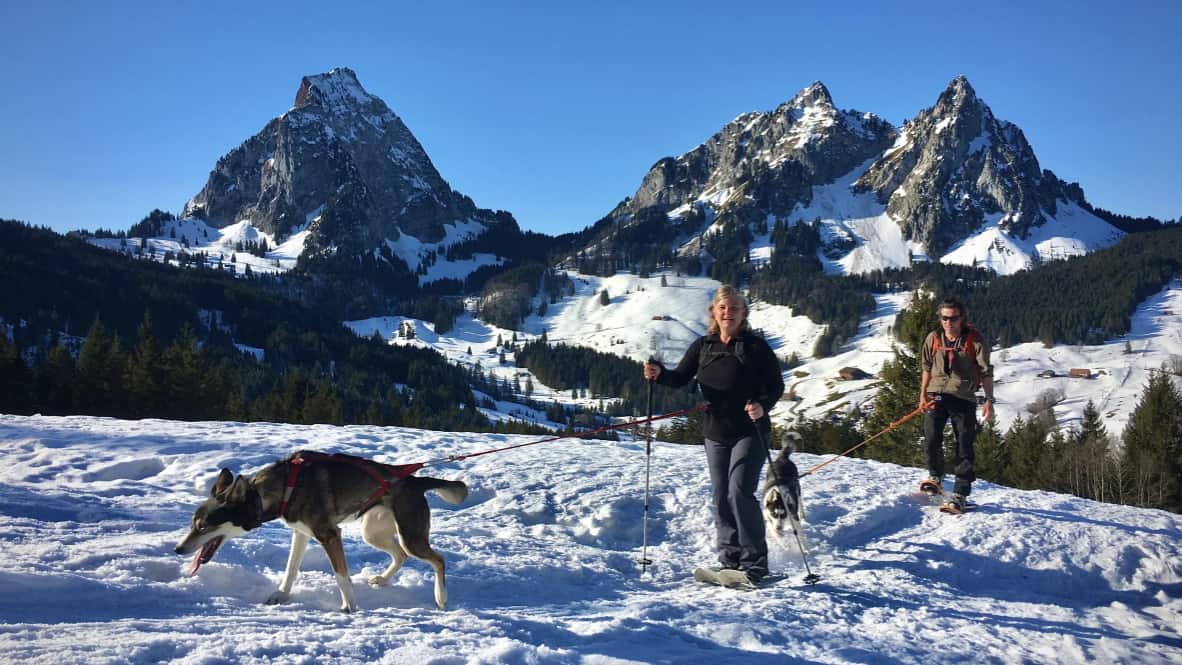 Schneeschuhwanderung