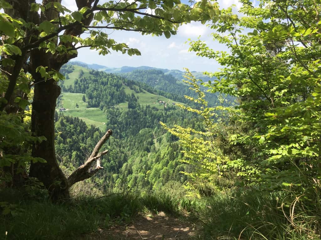 Biwaktour ZH-Oberland